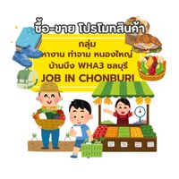 ซื้อ-ขาย  ท่าจาม หนองใหญ่ บ้านบึง WHA3 ชลบุรี