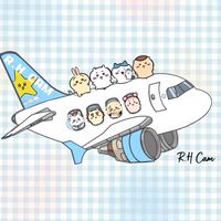 Ｒ.ＨＣＡＭ🇯🇵🇰🇷搬運小分隊 ‪ ·͜·♡‬