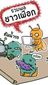 เผือก