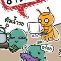 เผือก