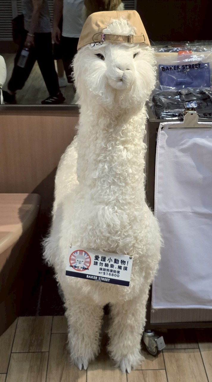 聊天群