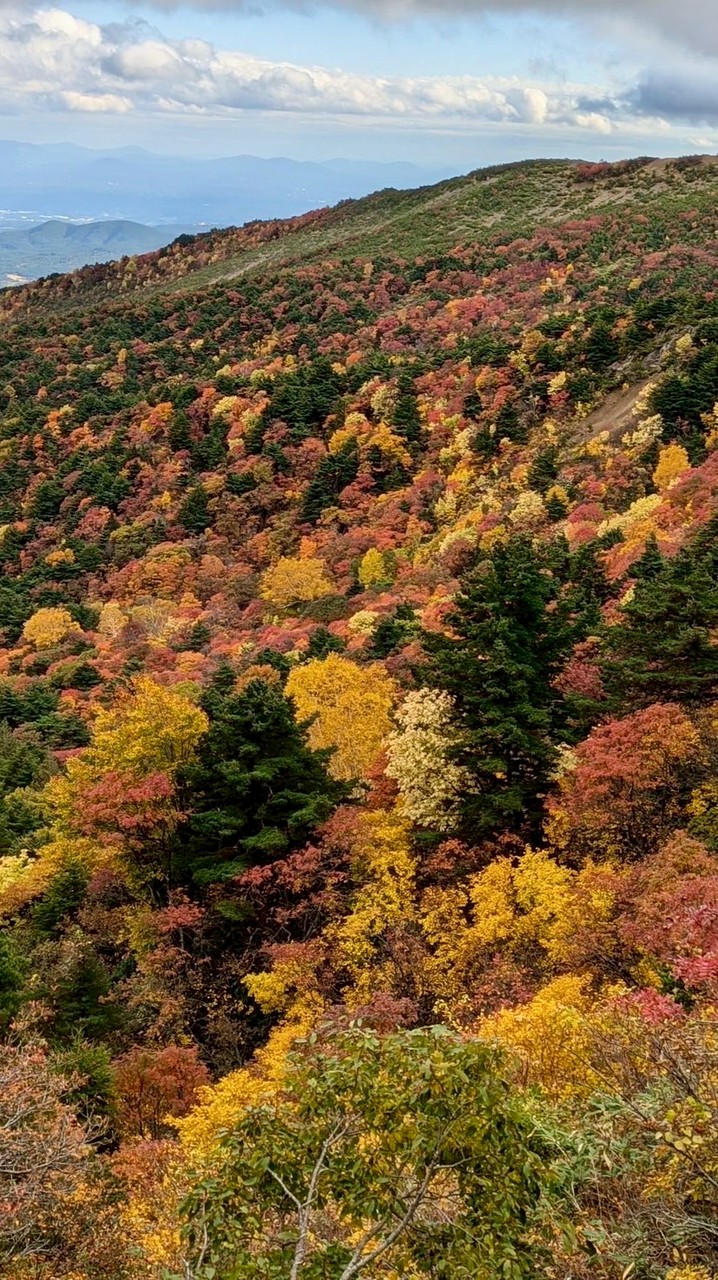 🛵🏍山形バイク仲間🍜🍰