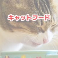 愛猫飯調査隊🐈キャットフード情報🐈