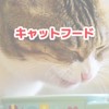 愛猫飯調査隊🐈キャットフード情報🐈