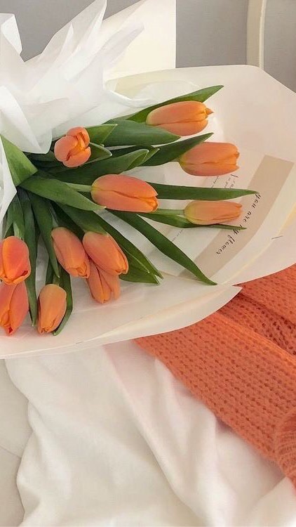 OpenChat ไม่ใช่ส้มแต่ก็หยุดที่คุณได้🍊