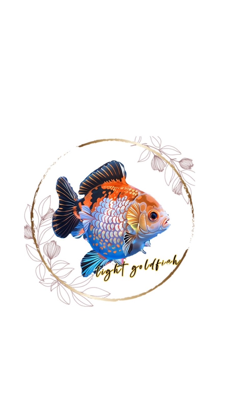 光 金魚🅶🅾🅻🅳🅵🅸🆂🅷