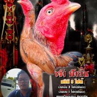 ซุ้ม ว4 ฟาร์มครยก