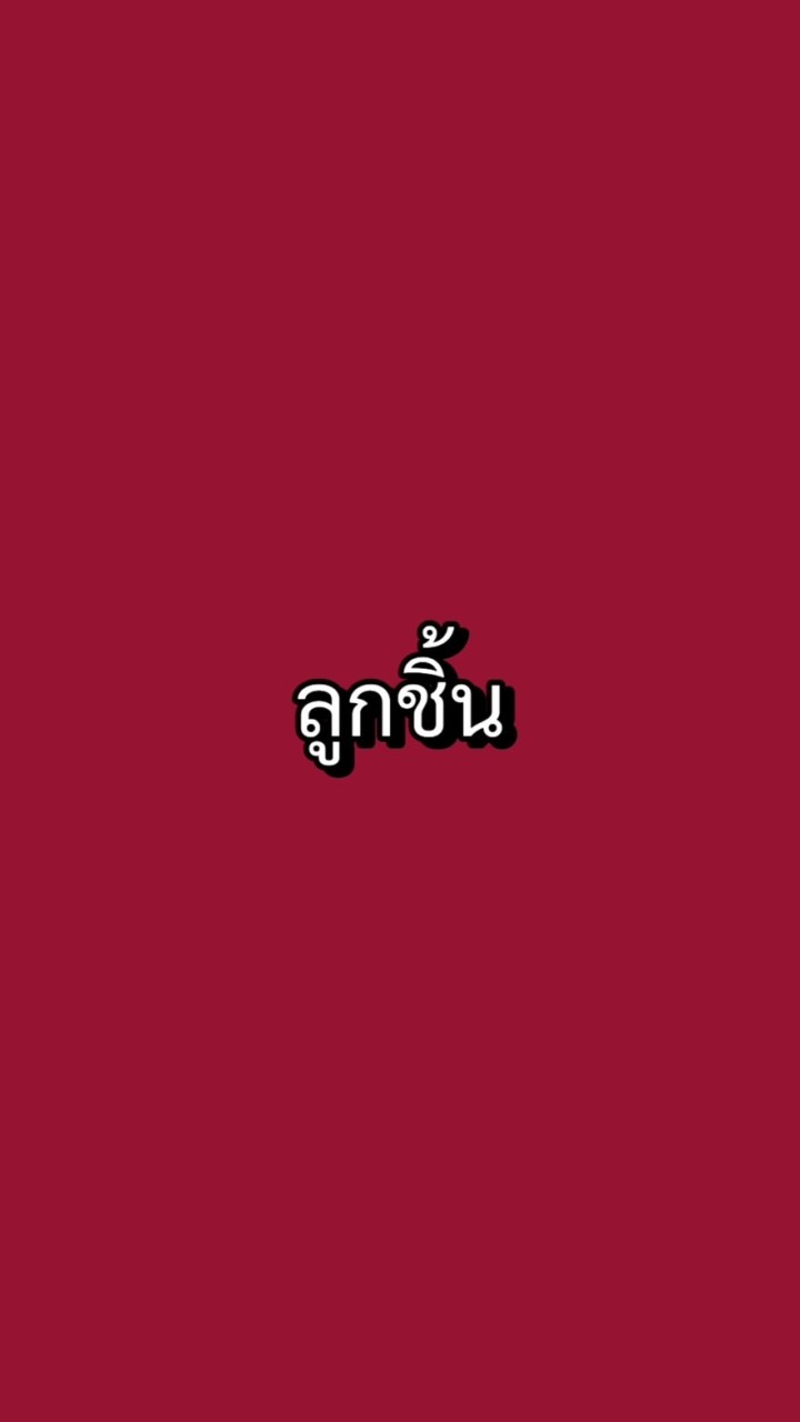 กลุ่มลูกชิ้น(เถ้าแก่สอนอาชีพ)