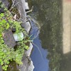 日本の生態系調査！釣りの話も全然OK！