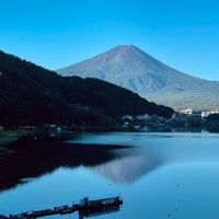 5月鹿兒島🇯🇵佛系代購群