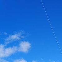 花壇づくりを楽しみましょう♫（鴨居駅北口）