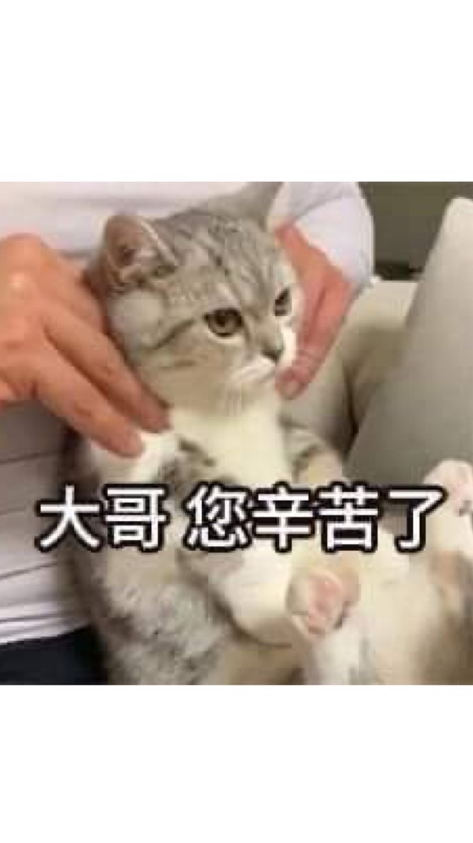 芷綾の小天地🐹