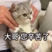 芷綾の小天地🐹