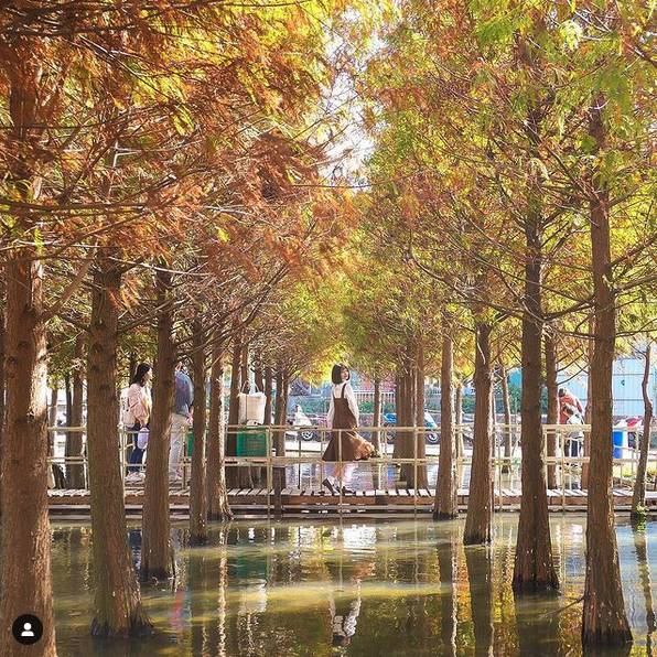 圖片來源：IG @butt2fly_