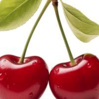 School Cherry 🍒