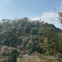 中高生限定(家族設定で話そや)