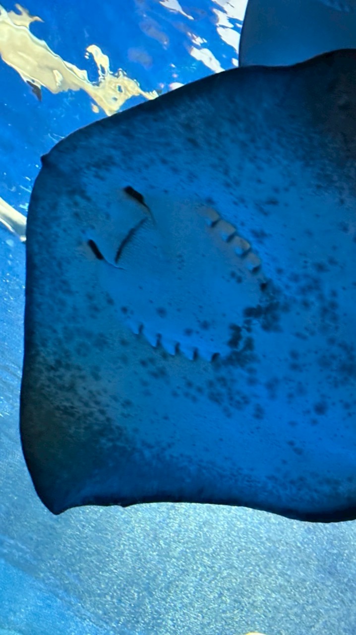 流石に𝑮𝑬𝑲𝑰𝑨𝑻𝑺𝑼な全緩‼️‼️‼️😘😘😘