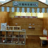 桃園蘆竹爸媽交流群