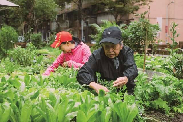 田園城市串聯人群與土地的可食地景(台北畫刊109年1月) | 臺北旅遊網| LINE TODAY