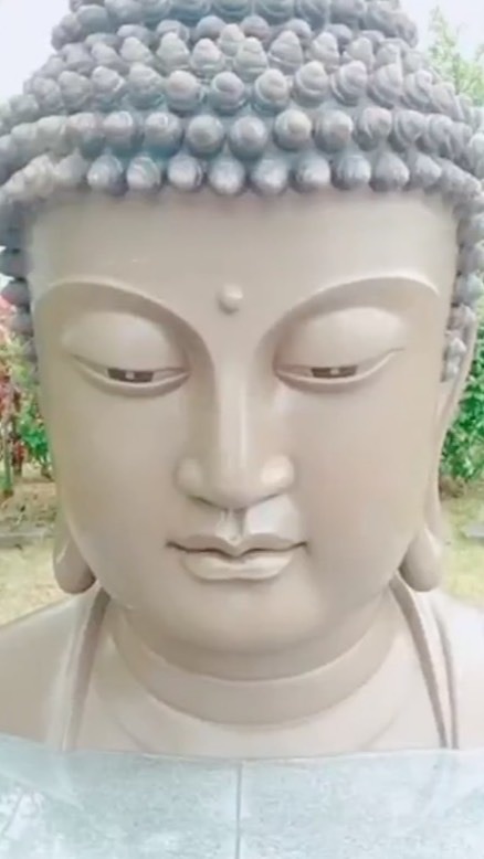 口撃と愉快な仲間たち