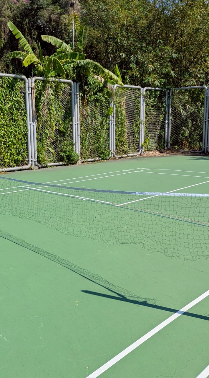 揪打匹克球（丹鳳公園）🎾🏸🏓