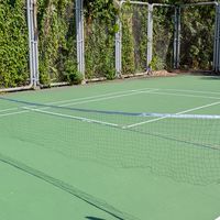 揪打匹克球（丹鳳公園）🎾🏸🏓