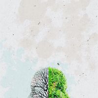 落髮原因/禿頭/植髮/頭皮健康探討群
