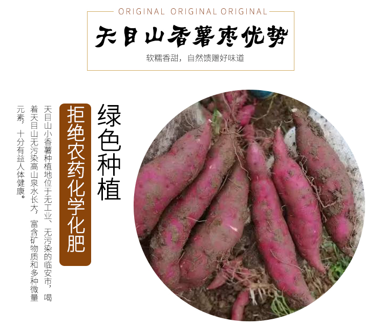 辰頤物語天目山香薯棗地瓜干軟糯無糖倒蒸硬有嚼勁⑨不加糖紅番薯干