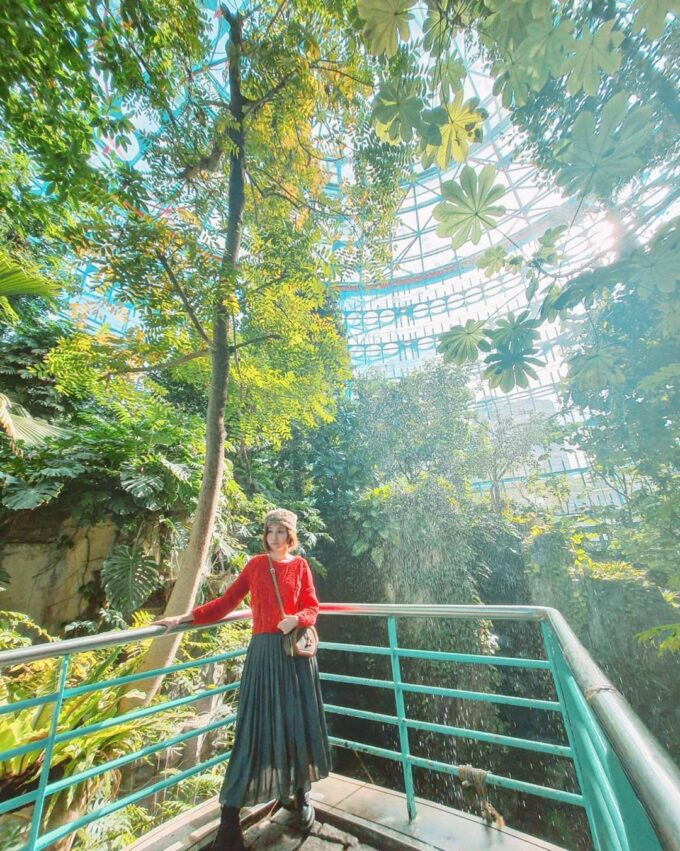 台中捷運 108 文華高中站 自然科學博物館植物園