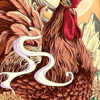 สนามออนไลน์  สหายไก่ชน