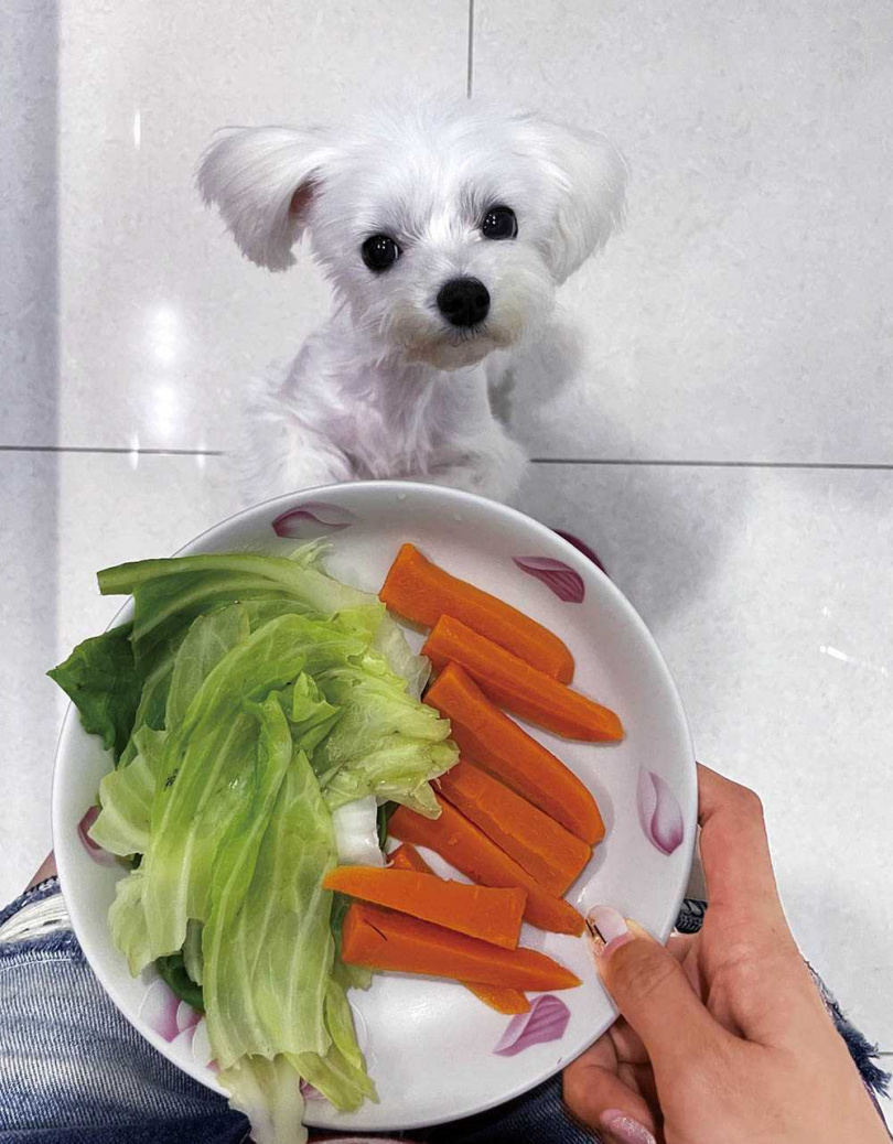 謝金晶常為䒜䒜準備水煮雞胸肉和蔬菜等鮮食，但她自謙廚藝不佳，掌廚大任還是交給媽媽。（圖／豪記唱片提供）