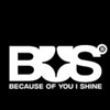บีอัส(B-U-S is 12)