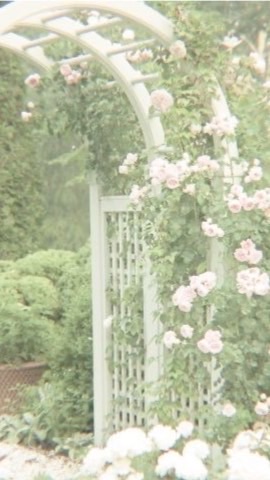 ‎˗ˏˋ vestiaire🥋⸝⸝⸝