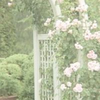 ‎˗ˏˋ vestiaire🥋⸝⸝⸝