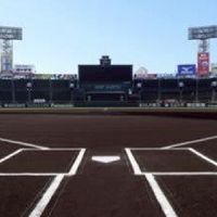 親向け。野球進路を考える部屋