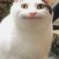 動ㄗ動ㄗ動ㄗ凍
