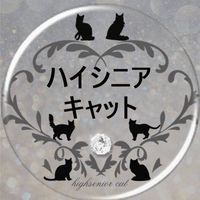 ハイシニアCat