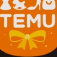 แลก Temu