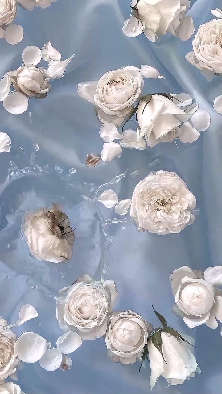 情報共有用グループ(最新版)