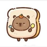 卡皮巴拉#TC265星空夜語