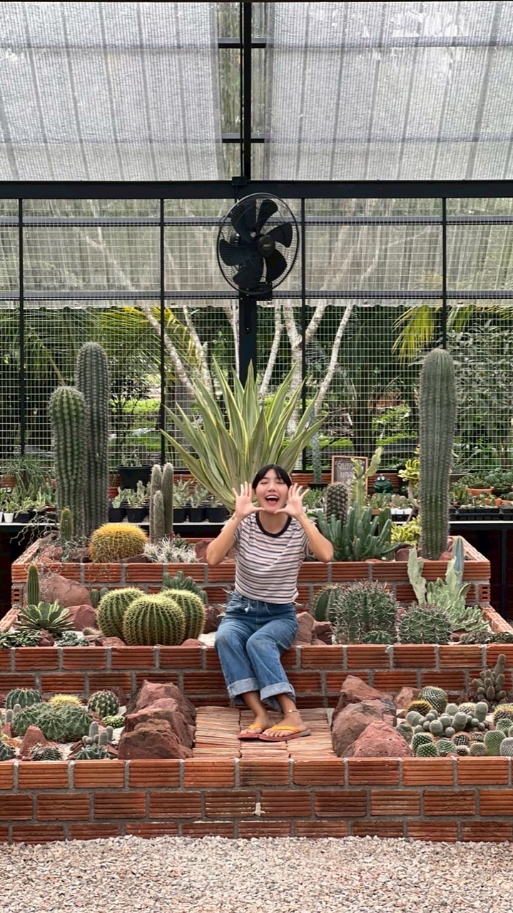 จันทร์เจ้าแคคตัส (Janjao Cactus)🌵