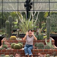 จันทร์เจ้าแคคตัส (Janjao Cactus)🌵