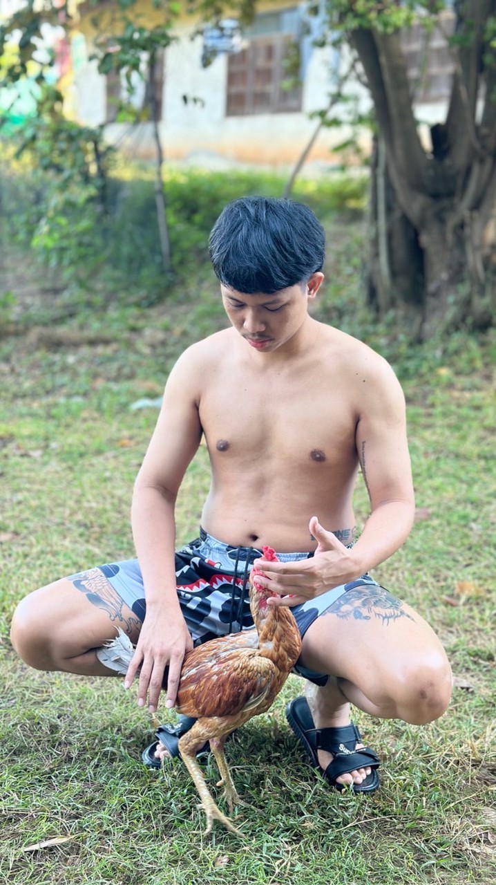 ซุ้ม กองปราบ