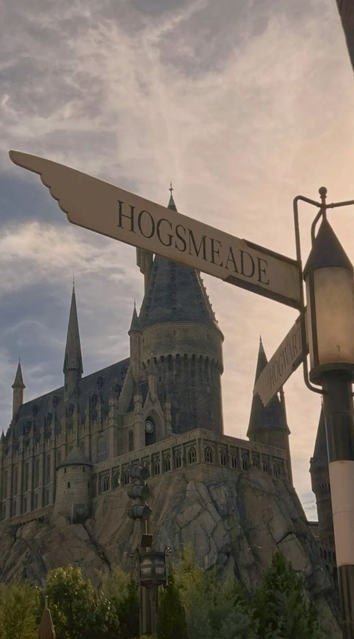 ˚®˙↝Hogwarts — Wizards school