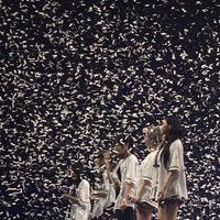 小女友/逼逼擊