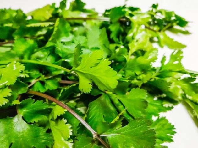 野菜力診断 Q カメムシソウ の和名を持つアジア料理で人気の香草は