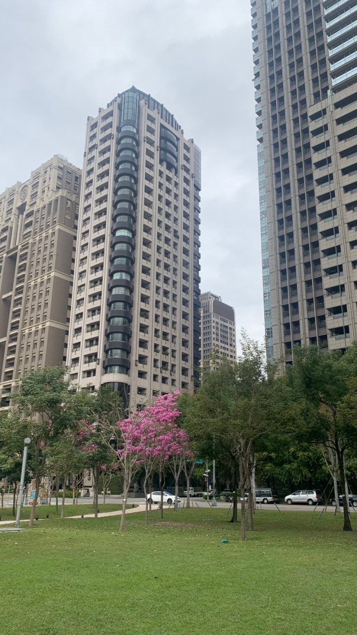 投資吧台北的房間