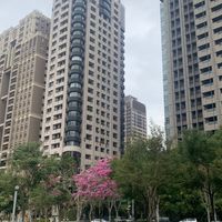 投資吧台北的房間