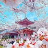 10代の高校生🏫以下限定何でも相談室🍥⌨️