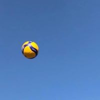 男子バレーボールが好きなんだ！